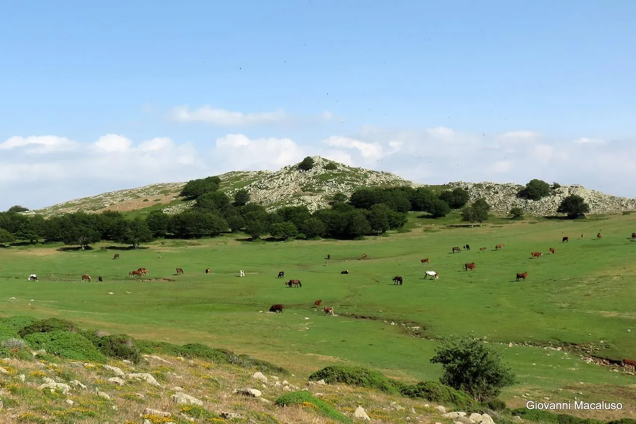 ***  פטראליה סופראנה Hotel Residenza Petra איטליה